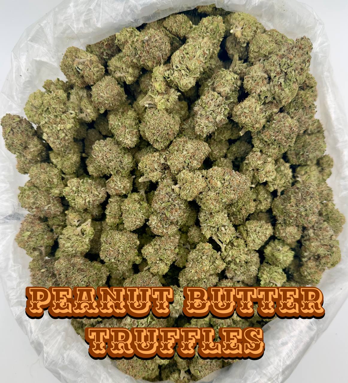 PREMIER LIGHT DEPS
