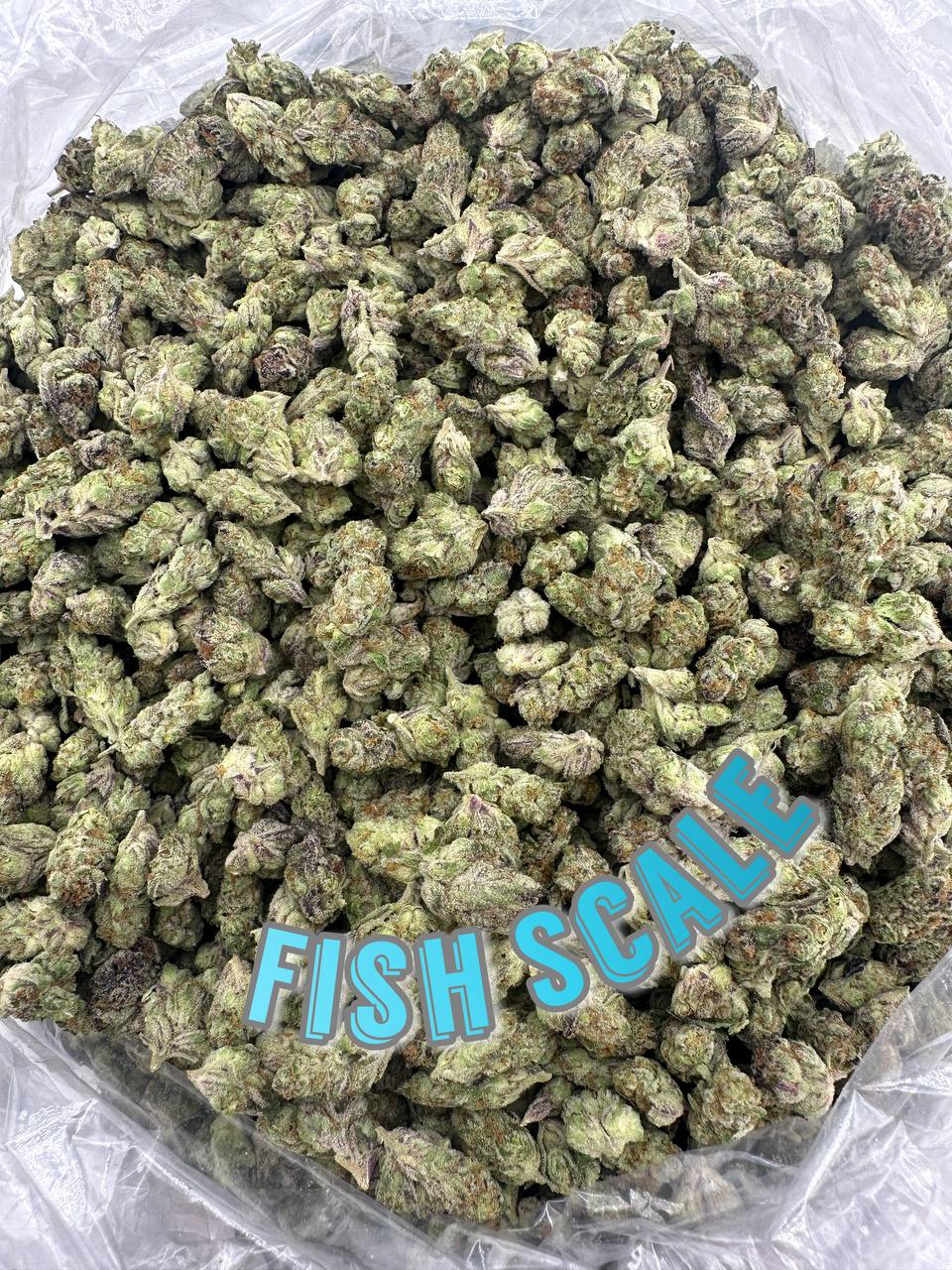 INDOOR SMALLS
