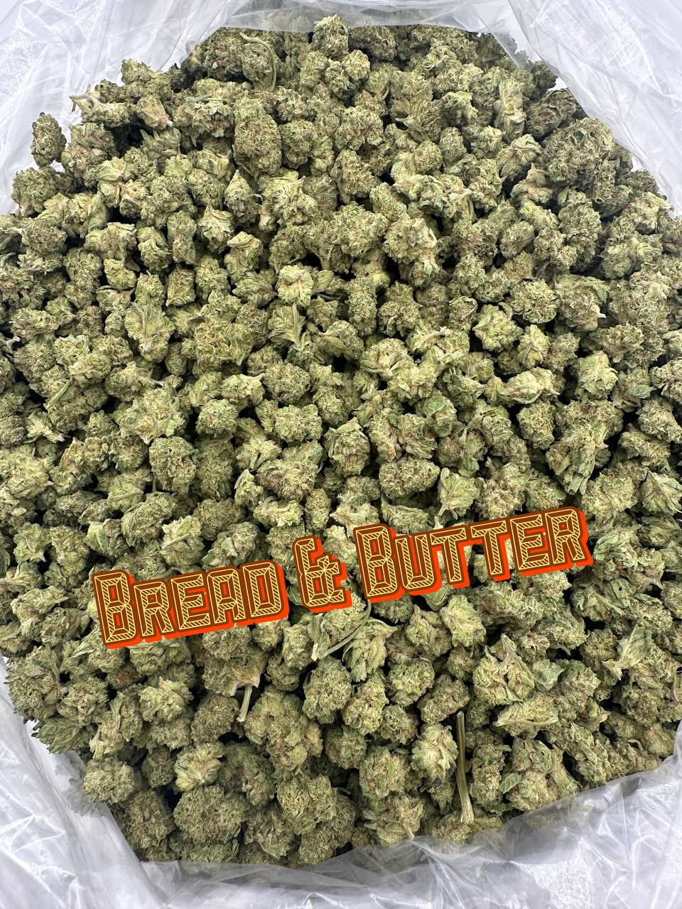 INDOOR SMALLS