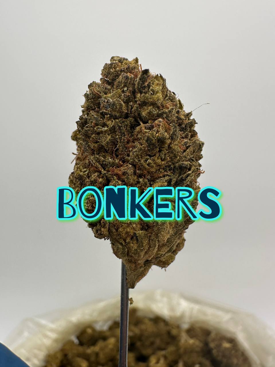 ORGANIC OUTDOOR