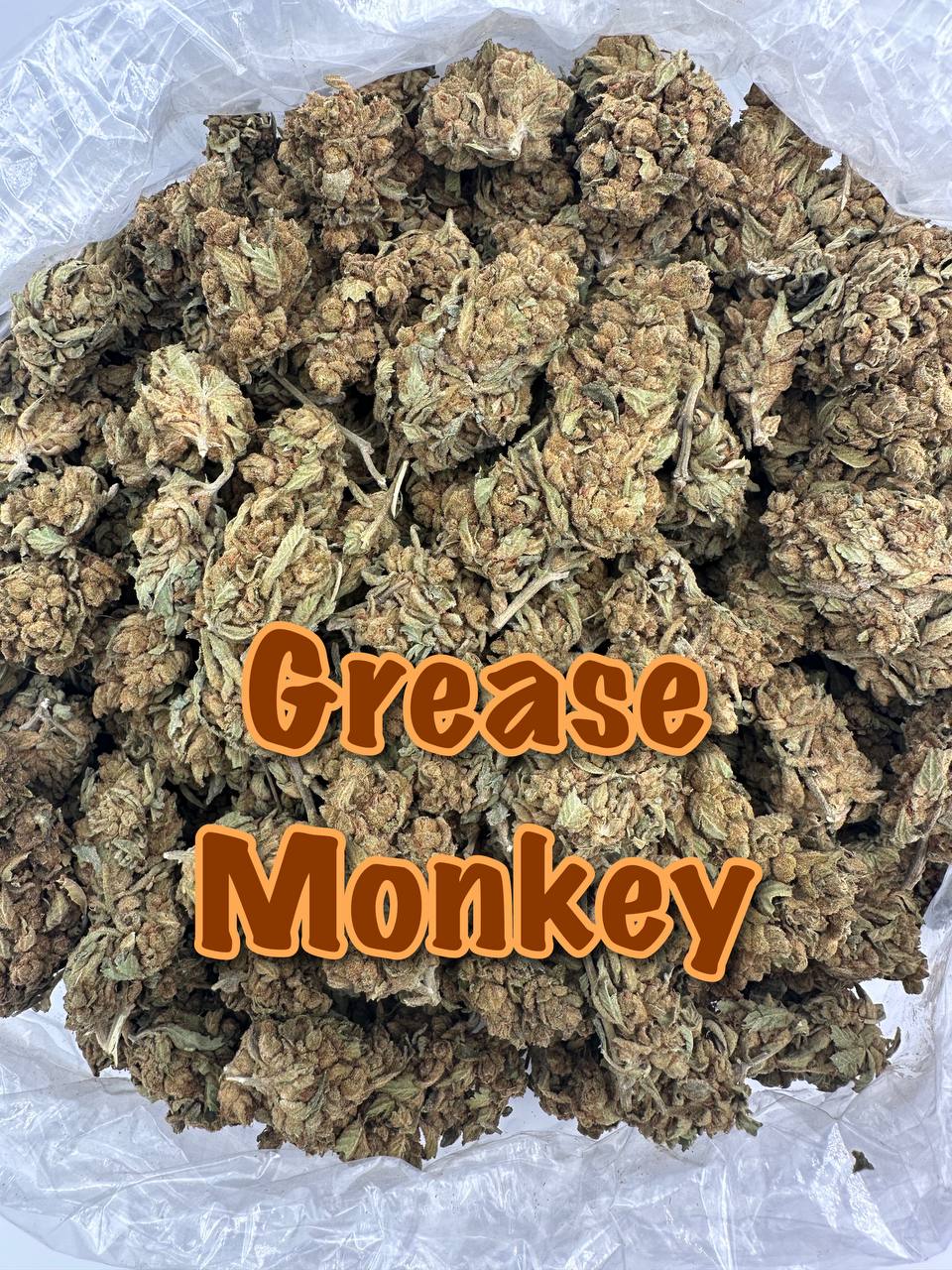 ORGANIC OUTDOOR