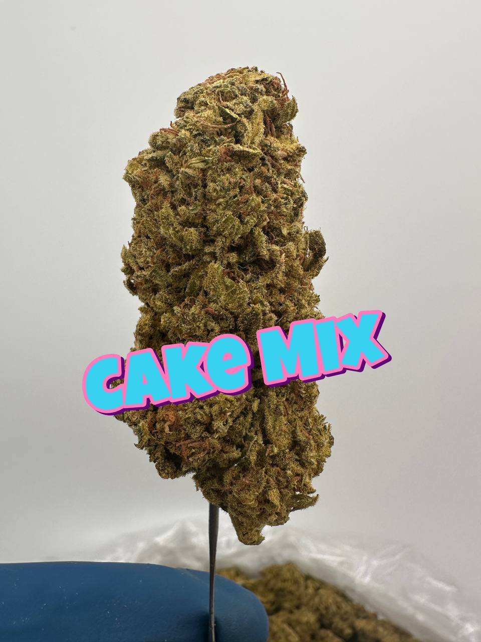 ORGANIC OUTDOOR