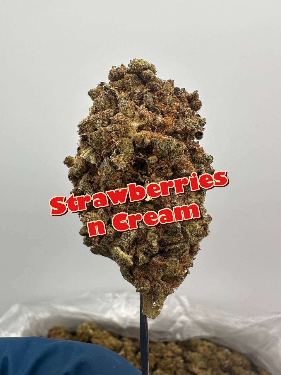 ORGANIC OUTDOOR