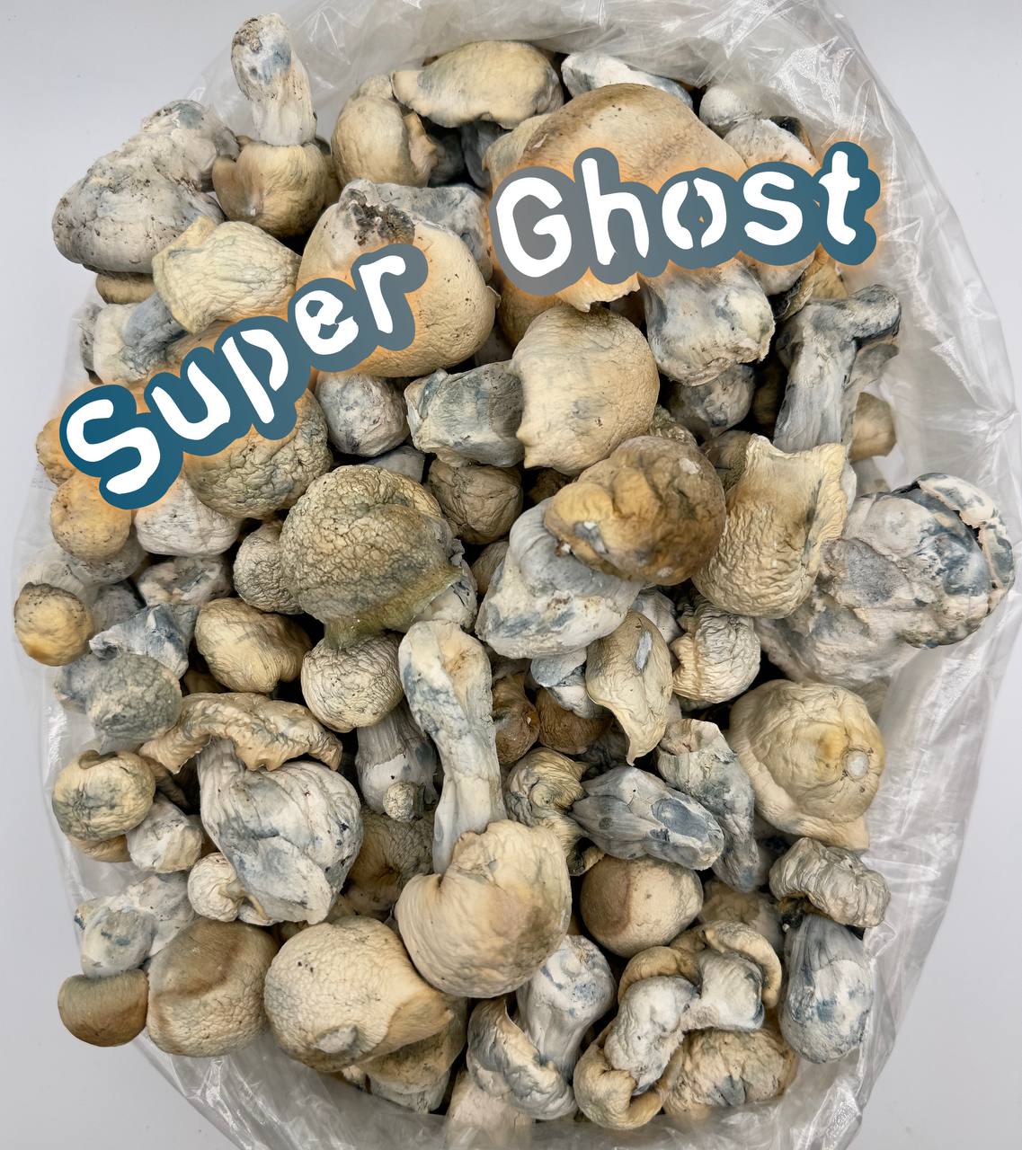 GOD TIER MUSHROOMS