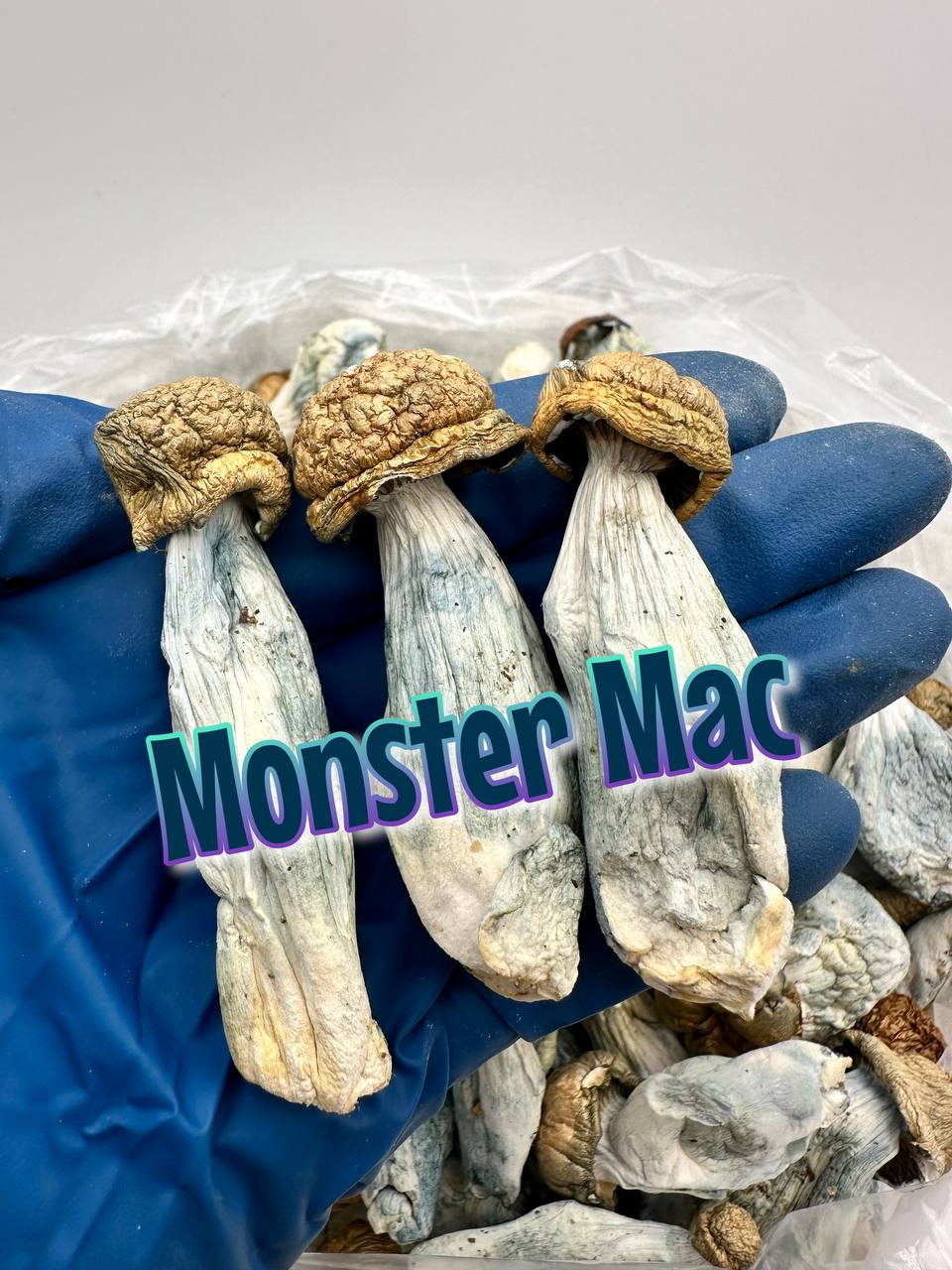 GOD TIER MUSHROOMS